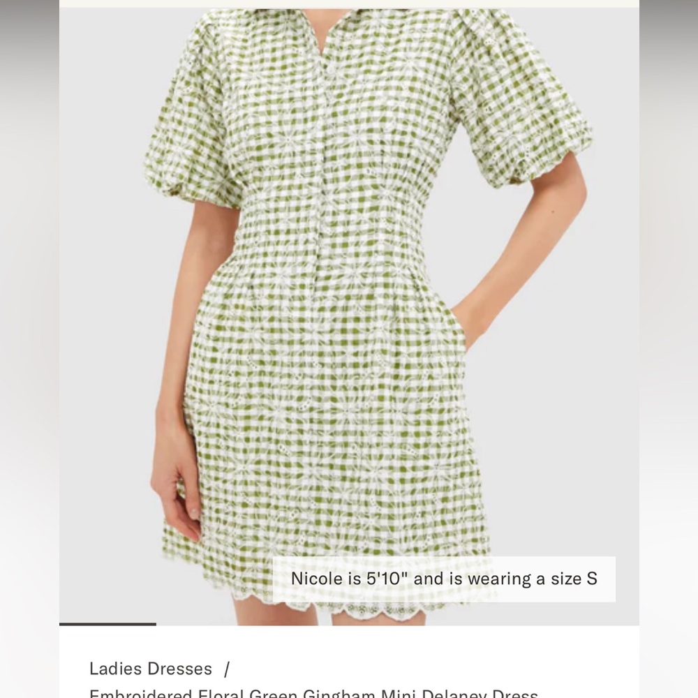 Tuckernuck Embroidered Floral Green Gingham Mini Delaney Dress - only worn once!